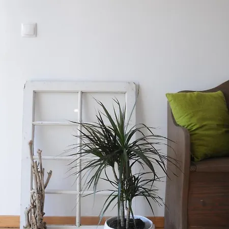 Casa Dos Caldeiras Bed & Breakfast