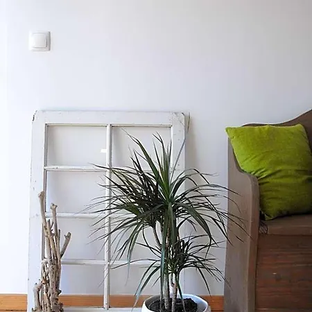 Casa Dos Caldeiras Bed & Breakfast 3*